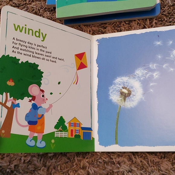 Baby Einstein books, set of 5 - Picture 7 of 9